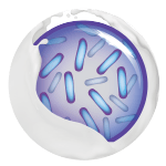 Probiotics